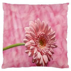 Background Texture Flower Petals Large Flano Cushion Case (two Sides) by Sapixe