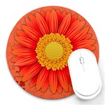 Flower Plant Petal Summer Color Round Mousepads Front