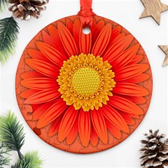 Flower Plant Petal Summer Color Ornament (round) by Sapixe