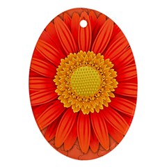 Flower Plant Petal Summer Color Ornament (oval) by Sapixe