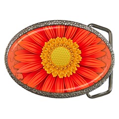 Flower Plant Petal Summer Color Belt Buckles by Sapixe