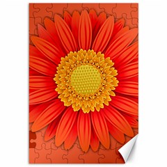 Flower Plant Petal Summer Color Canvas 12  X 18   by Sapixe