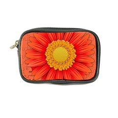 Flower Plant Petal Summer Color Coin Purse by Sapixe