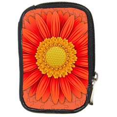 Flower Plant Petal Summer Color Compact Camera Cases by Sapixe