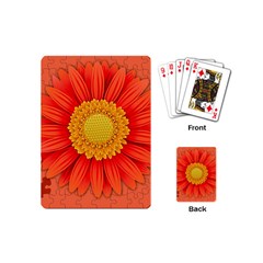 Flower Plant Petal Summer Color Playing Cards (mini)  by Sapixe