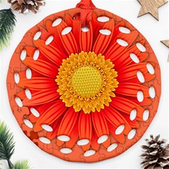 Flower Plant Petal Summer Color Ornament (round Filigree) by Sapixe