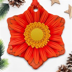 Flower Plant Petal Summer Color Snowflake Ornament (two Sides) by Sapixe