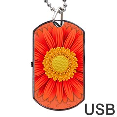 Flower Plant Petal Summer Color Dog Tag Usb Flash (one Side) by Sapixe