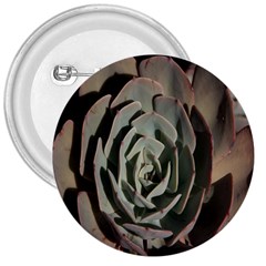 Succulent Green Pink Rosettes 3  Buttons by Sapixe