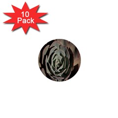 Succulent Green Pink Rosettes 1  Mini Buttons (10 Pack)  by Sapixe