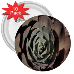 Succulent Green Pink Rosettes 3  Buttons (10 Pack)  by Sapixe