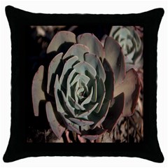 Succulent Green Pink Rosettes Throw Pillow Case (black) by Sapixe