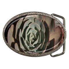 Succulent Green Pink Rosettes Belt Buckles by Sapixe