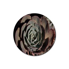 Succulent Green Pink Rosettes Rubber Coaster (round)  by Sapixe