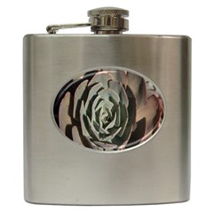 Succulent Green Pink Rosettes Hip Flask (6 Oz) by Sapixe