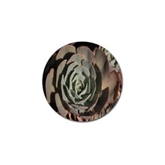 Succulent Green Pink Rosettes Golf Ball Marker by Sapixe