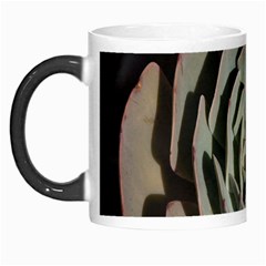 Succulent Green Pink Rosettes Morph Mugs by Sapixe