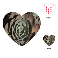 Succulent Green Pink Rosettes Playing Cards (heart)  by Sapixe