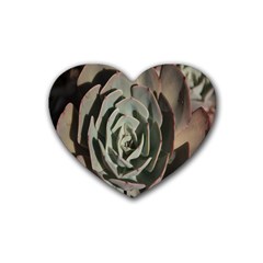 Succulent Green Pink Rosettes Rubber Coaster (heart)  by Sapixe