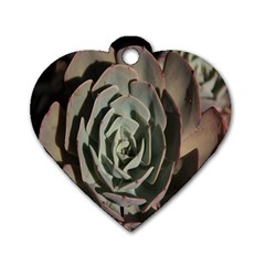 Succulent Green Pink Rosettes Dog Tag Heart (two Sides) by Sapixe