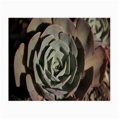 Succulent Green Pink Rosettes Small Glasses Cloth (2-side) by Sapixe