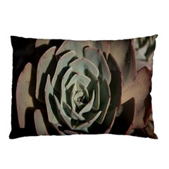 Succulent Green Pink Rosettes Pillow Case by Sapixe