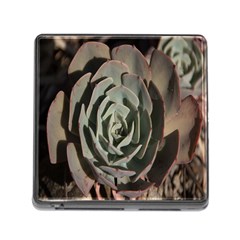 Succulent Green Pink Rosettes Memory Card Reader (square) by Sapixe