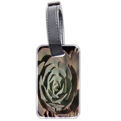 Succulent Green Pink Rosettes Luggage Tags (two Sides) by Sapixe