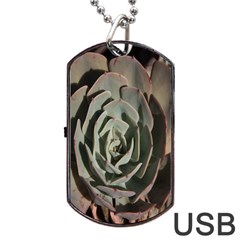 Succulent Green Pink Rosettes Dog Tag Usb Flash (two Sides) by Sapixe