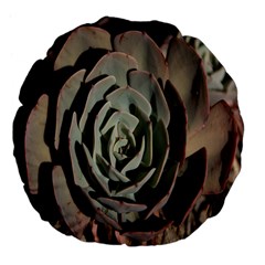 Succulent Green Pink Rosettes Large 18  Premium Flano Round Cushions