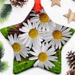 Flowers Flower Background Design Ornament (Star) Front