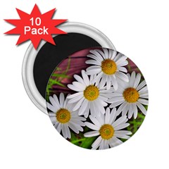 Flowers Flower Background Design 2 25  Magnets (10 Pack)  by Sapixe