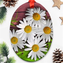 Flowers Flower Background Design Oval Ornament (two Sides) by Sapixe