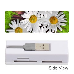 Flowers Flower Background Design Memory Card Reader (stick)  by Sapixe