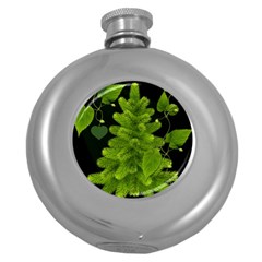 Decoration Green Black Background Round Hip Flask (5 Oz) by Sapixe