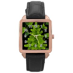 Decoration Green Black Background Rose Gold Leather Watch  by Sapixe