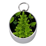 Decoration Green Black Background Mini Silver Compasses Front