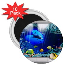 Dolphin Art Creation Natural Water 2 25  Magnets (10 Pack)  by Sapixe