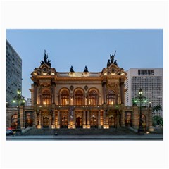 Municipal Theatre Of Sao Paulo Brazil Large Glasses Cloth by Sapixe