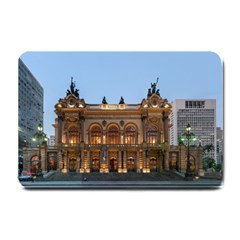 Municipal Theatre Of Sao Paulo Brazil Small Doormat  by Sapixe