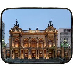 Municipal Theatre Of Sao Paulo Brazil Double Sided Fleece Blanket (mini)  by Sapixe