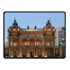 Municipal Theatre Of Sao Paulo Brazil Fleece Blanket (small) by Sapixe