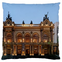 Municipal Theatre Of Sao Paulo Brazil Large Cushion Case (one Side) by Sapixe