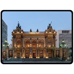 Municipal Theatre Of Sao Paulo Brazil Double Sided Fleece Blanket (large)  by Sapixe