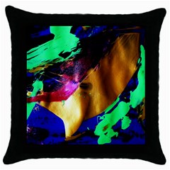 Global Warming 9 Throw Pillow Case (black) by bestdesignintheworld