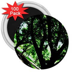 Hot Day In Dallas 28 3  Magnets (100 Pack) by bestdesignintheworld