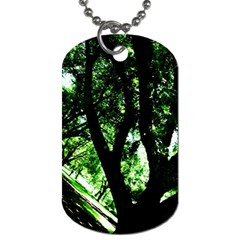 Hot Day In Dallas 28 Dog Tag (two Sides) by bestdesignintheworld