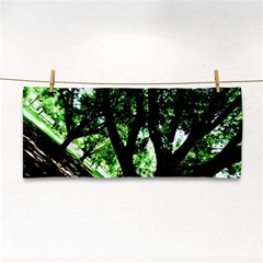 Hot Day In Dallas 28 Hand Towel by bestdesignintheworld