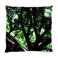 Hot Day In Dallas 28 Standard Cushion Case (one Side) by bestdesignintheworld