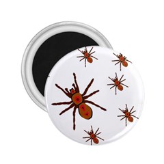 Nature Insect Natural Wildlife 2 25  Magnets by Sapixe